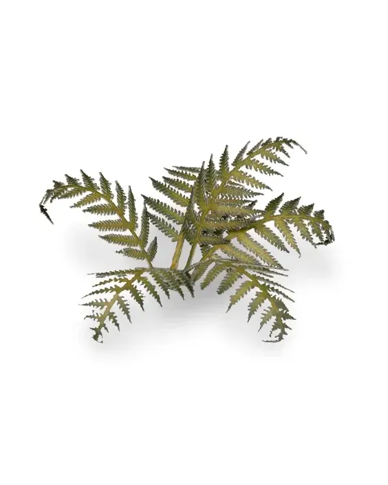 Gamers Grass Laser Plants - Bracken