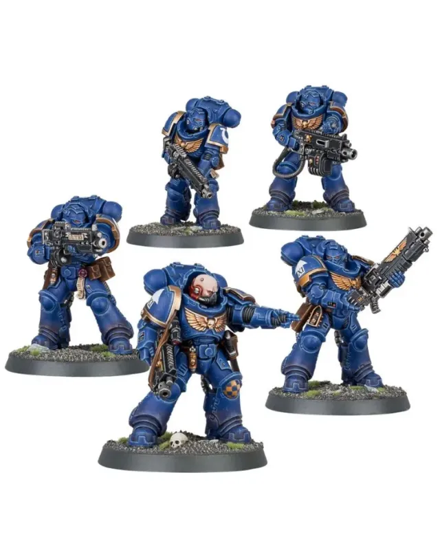 Space Marine: Heavy Intercessors Space Marine: Heavy Intercessors